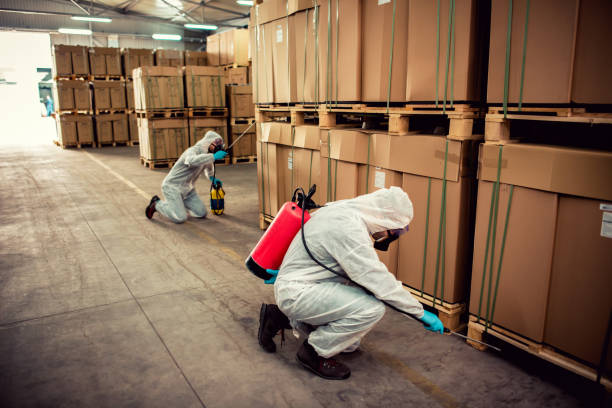 Best Termite Control Services  in Jarales, NM