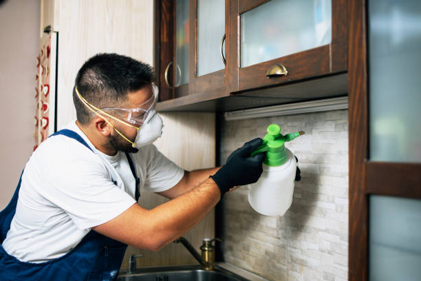 Best Emergency Pest Control  in Jarales, NM