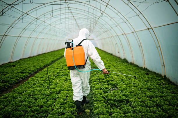 Best Pest Control for Restaurants  in Jarales, NM