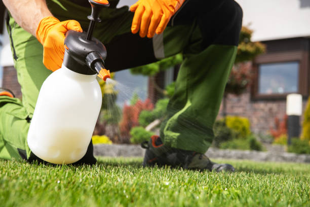 Professional Pest Control in Jarales, NM