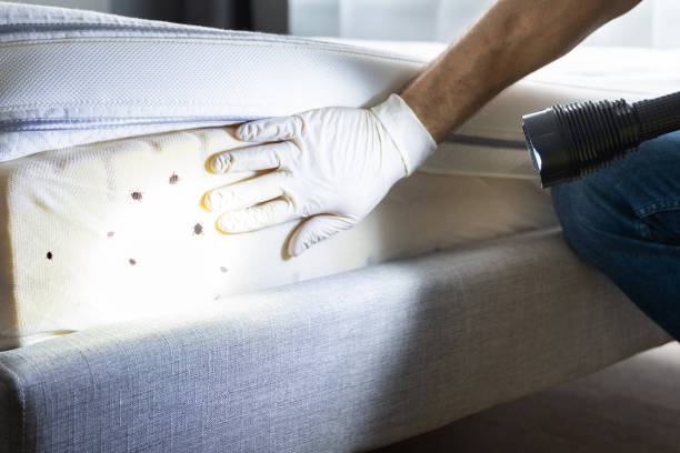 Best Best Pest Control Companies  in Jarales, NM