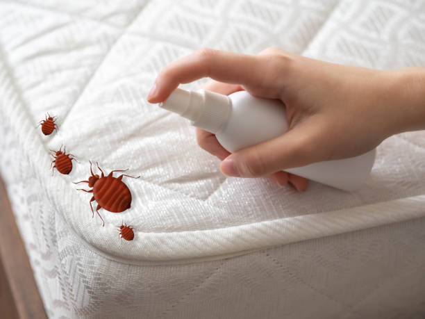 Best Best Pest Control Companies  in Jarales, NM