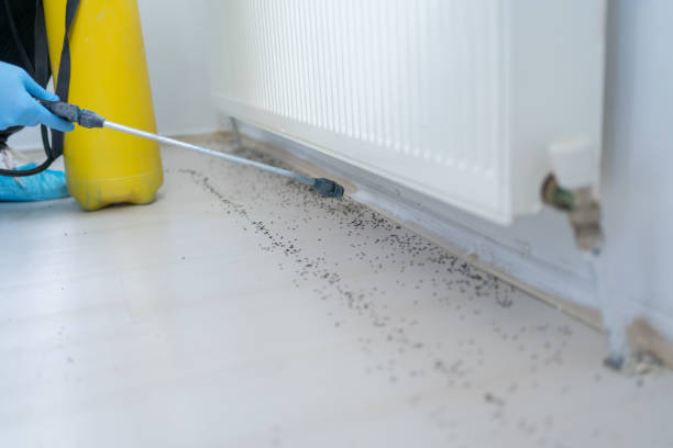Best Local Pest Control Services  in Jarales, NM