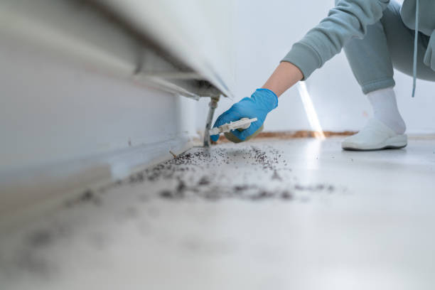 Best Best Pest Control Companies  in Jarales, NM