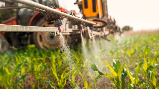 Best Mosquito Control Services  in Jarales, NM