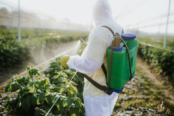 Best Pest Control Treatment  in Jarales, NM